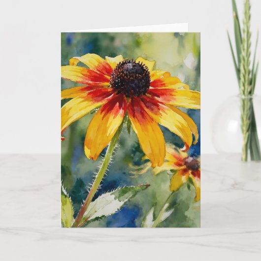 Echinacea Studie C In Aquarel Kaart (Voorkant)