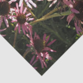 Echinacea Tissuepapier (Detail)