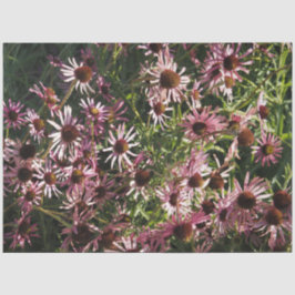 Echinacea Tissuepapier