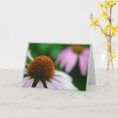 Echinacea twee kaart (Gele Bloem)