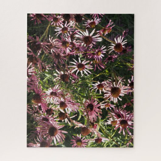 Echinacea's Legpuzzel (Verticaal)