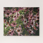 Echinacea's Legpuzzel (Horizontaal)