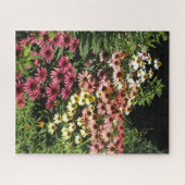 Echinacea's Legpuzzel (Horizontaal)