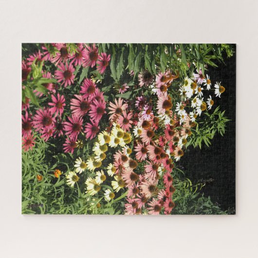 Echinacea's Legpuzzel (Horizontaal)