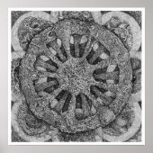 Echinidermateriaal Poster (Voorkant)