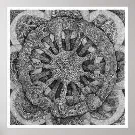 Echinidermateriaal Poster