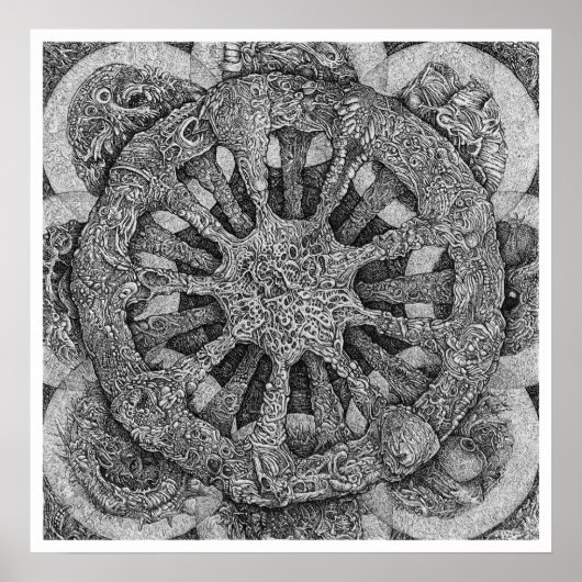 Echinidermateriaal Poster (Voorkant)