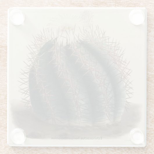 Echinocactus horizontaal thalonius Cactus Onderzet Glazen Onderzetter (Achterkant)