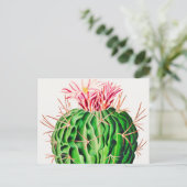 Echinocactus Pentacanthus Cactus  Briefkaart (Staand voorkant)