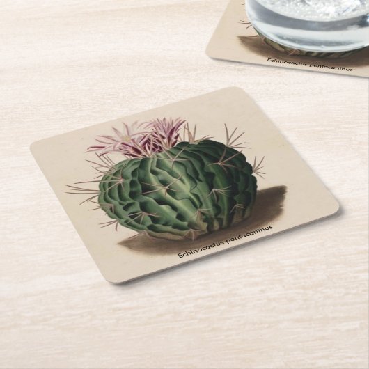 Echinocactus pentacanthus Cactus Onderzetter (Schuin)