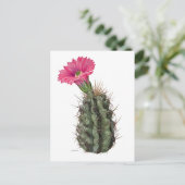 Echinocereus Cactus Mary Emily Eaton Briefkaart (Staand voorkant)