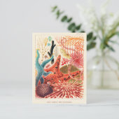 Echinodermen op het Great Barrier Reef Briefkaart (Staand voorkant)