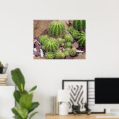 Echinopsis Bruchii Poster (Thuiskantoor)