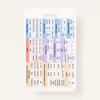 Echo Badge Naslaggids