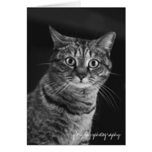 Echo, bw, D300, glorydayfotografie