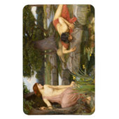 Echo en Narcissus door John William Waterhouse Magneet (Verticaal)