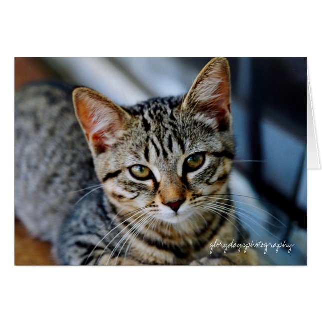 Echo, glorydayfotografie (Voorkant Horizontaal)