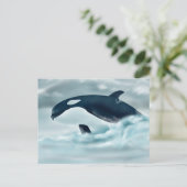 Echo (J42)-Briefkaart Briefkaart (Staand voorkant)