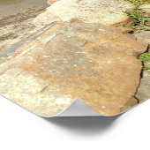 Echo Lake Beach in Acadia National Park Poster (Hoek)