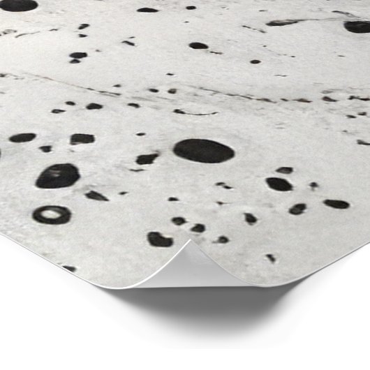 Echoes of the Future Poster (Hoek)