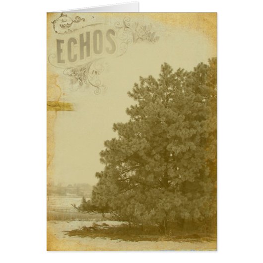 Echos of Winter (Voorkant)