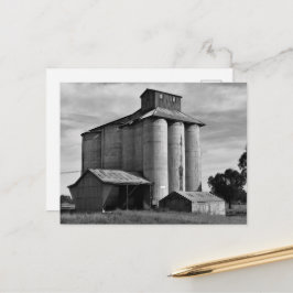 Echo's van de Oogst Briefkaart