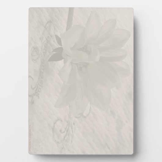 Echt Amazing Dahlia Fotoplaat (voorkant)