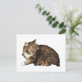 Echt angstige kat briefkaart (Staand voorkant)