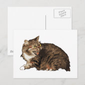 Echt angstige kat briefkaart (Voorkant / Achterkant)