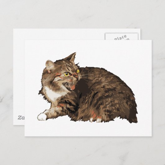 Echt angstige kat briefkaart (Voorkant / Achterkant)