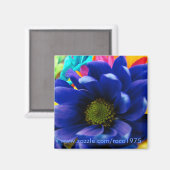 Echt blauw?! magneet (Voorkant / Achterkant)