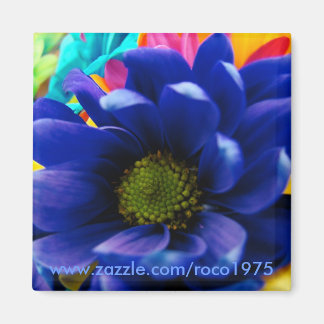 Echt blauw?! magneet