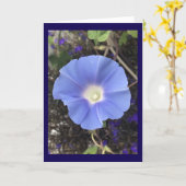Echt blauwe ochtendglorie kaart (Gele Bloem)