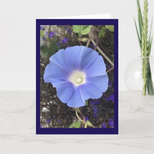Echt blauwe ochtendglorie kaart (Voorkant)