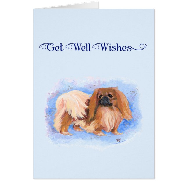Echt blauwe Pekingees (Voorkant)
