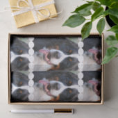 Echt Cute Bernese Mountain Dog Tissuepapier (Geschenk)