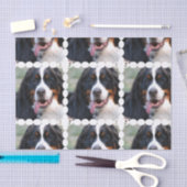 Echt Cute Bernese Mountain Dog Tissuepapier (Craft)