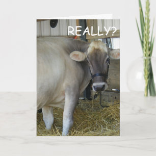 ECHT? GA SNEL GOED! KAART