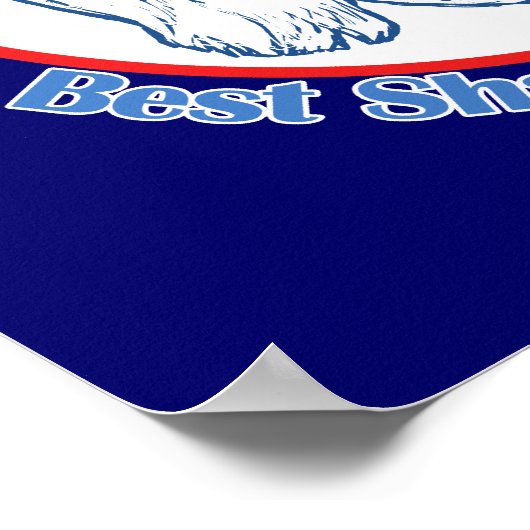 Echt geluk met een Cockapoo Poster (Hoek)