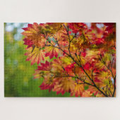 Echt Kleurrijke Herfstbladeren Puzzel (Horizontaal)