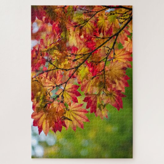 Echt Kleurrijke Herfstbladeren Puzzel (Verticaal)