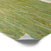 Echt Miniatuur Paard in bergen wens Poster (Hoek)