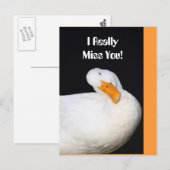 Echt Miss. Cute White Duck Briefkaart (Voorkant / Achterkant)