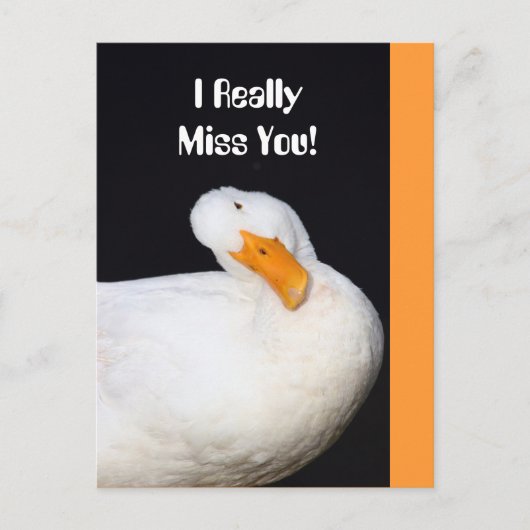 Echt Miss. Cute White Duck Briefkaart (Voorkant)