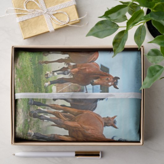 Echt (niet AI) Afbeelding van hardloopgaloppeerpaa Tissuepapier (Geschenk)