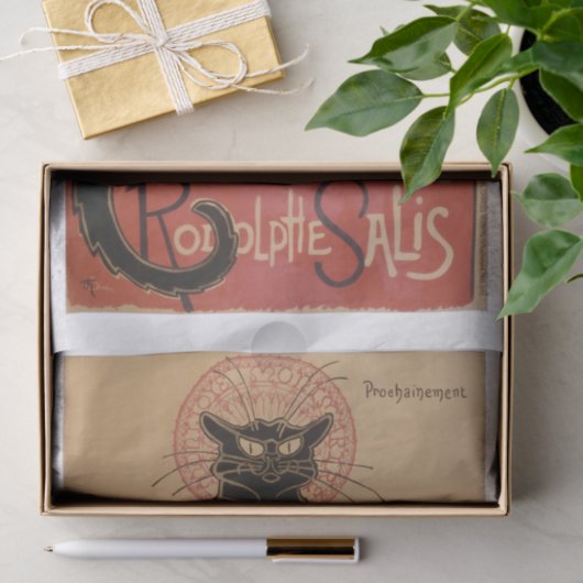 Echt  (niet AI) Chat Noir Poster Tissuepapier (Geschenk)