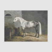 Echt (niet AI) Dapple Grey Paardenschilderij Tissuepapier (Voorkant)
