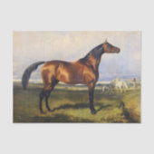 Echt (niet AI) Paardenschilderen Tissuepapier (Voorkant)