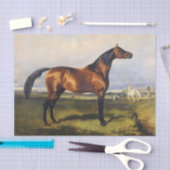 Echt (niet AI)  Paardenschilderen Tissuepapier (Craft)