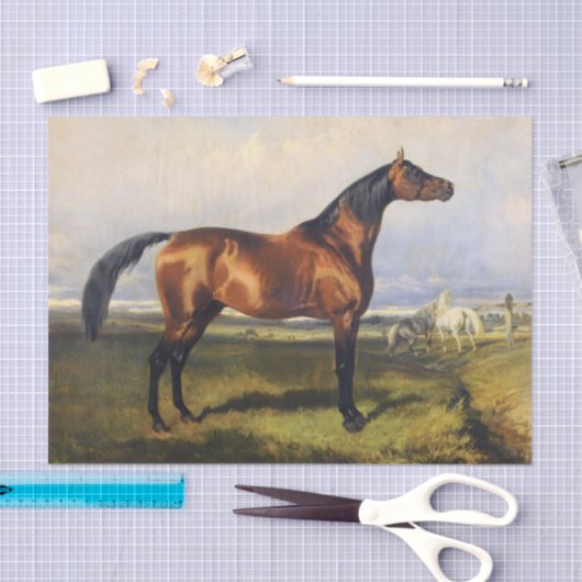 Echt (niet AI)  Paardenschilderen Tissuepapier (Craft)